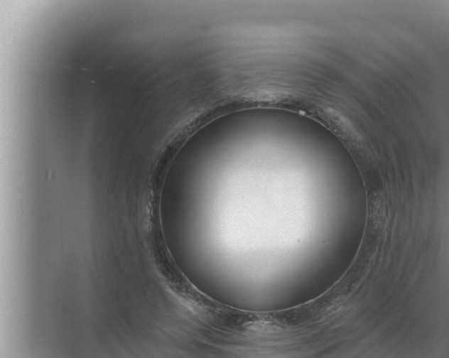 X0000072490544200607290042