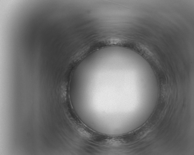 X0000072490545200607290042