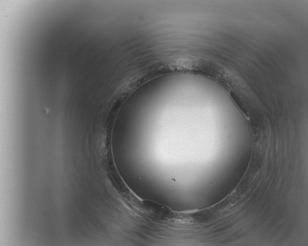 X0000072490548200607290042