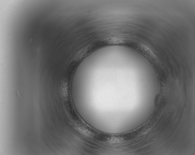 X0000072490549200607290042