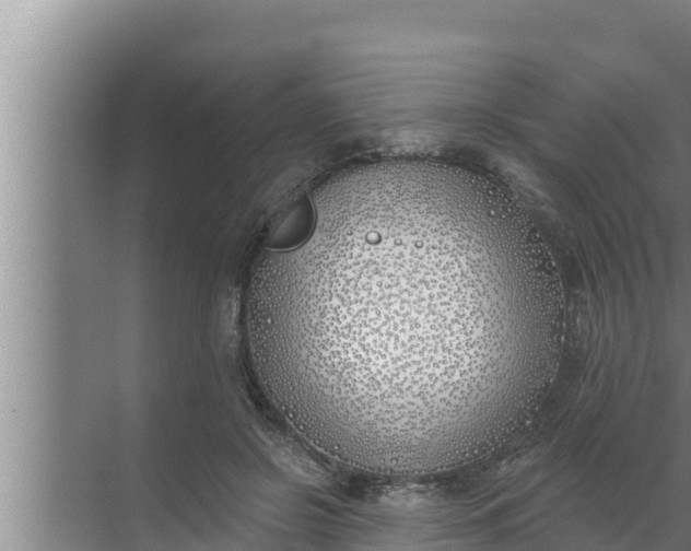 X0000072490550200607290042