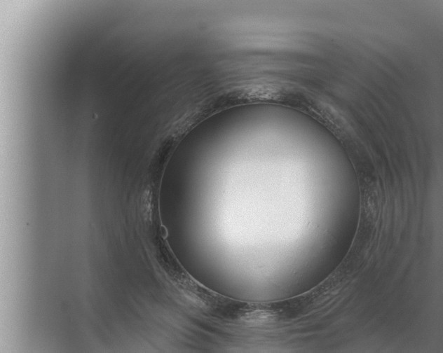 X0000072490551200607290042