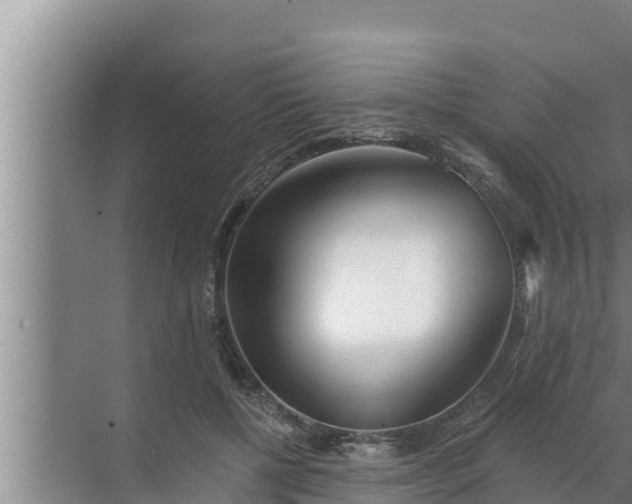 X0000072490552200607290042