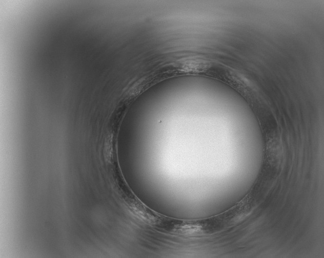 X0000072490554200607290042