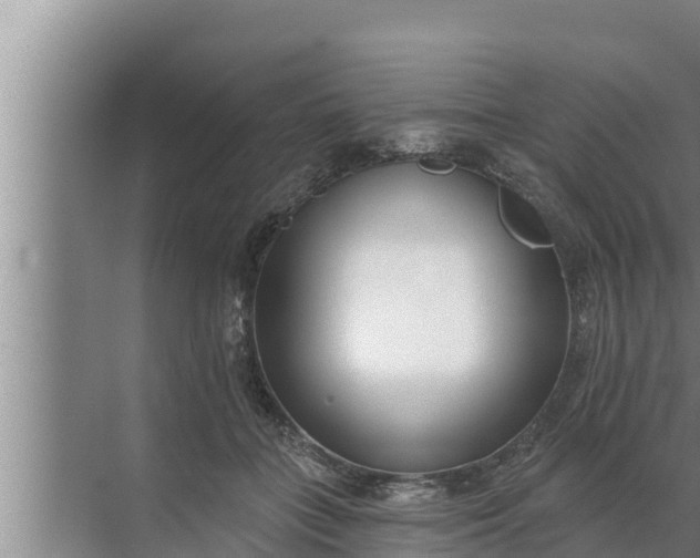 X0000072490555200607290042