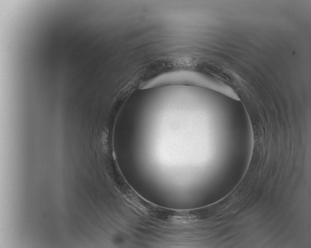 X0000072490556200607290042