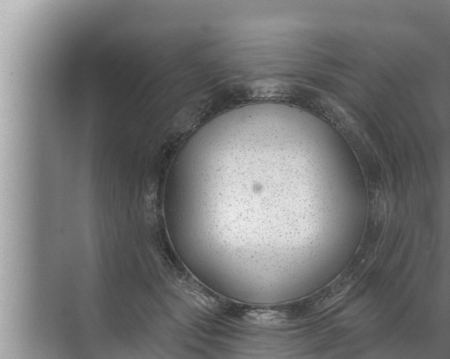 X0000072490557200607290042