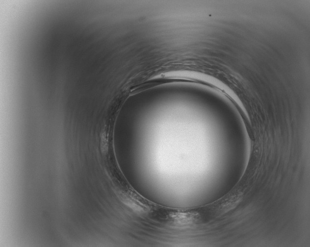 X0000072490558200607290042