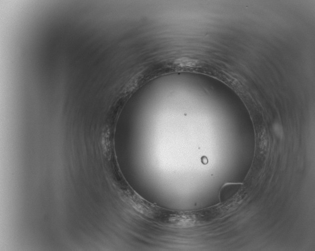 X0000072490559200607290042