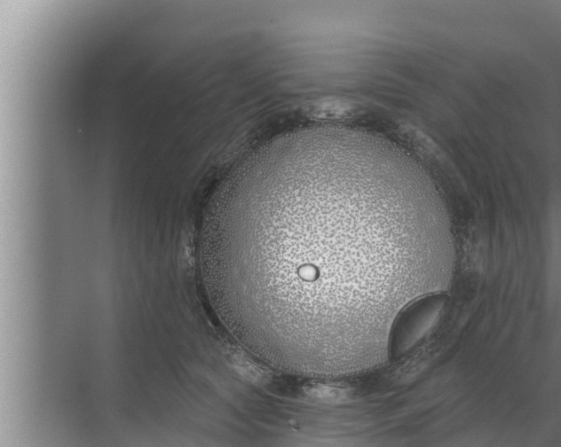 X0000072490561200607290042