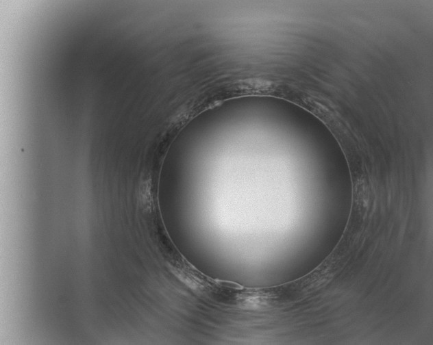 X0000072490564200607290043