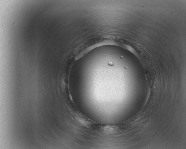 X0000072490566200607290043