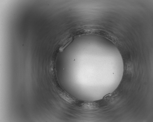 X0000072490567200607290043