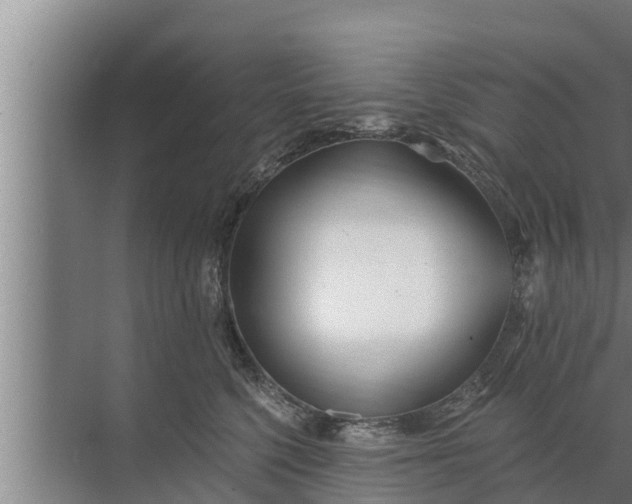 X0000072490568200607290043