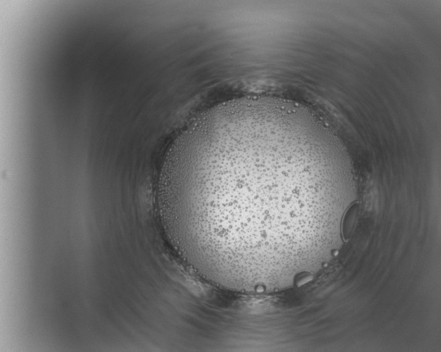 X0000072490569200607290043