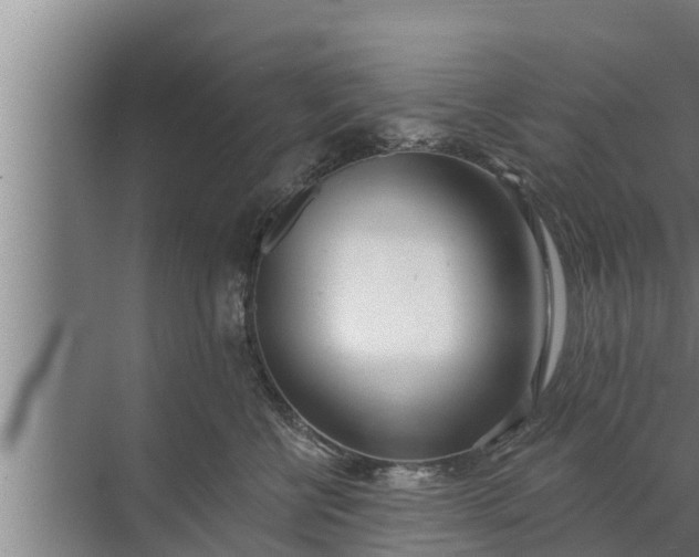 X0000072490570200607290043