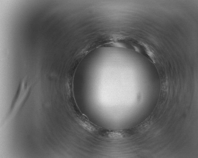 X0000072490572200607290043