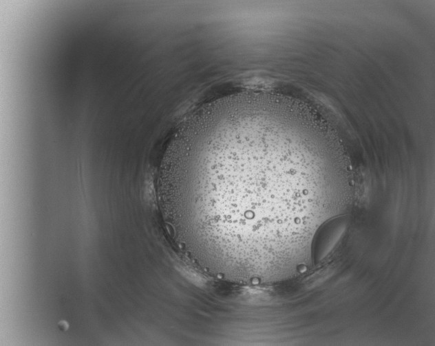 X0000072490573200607290043