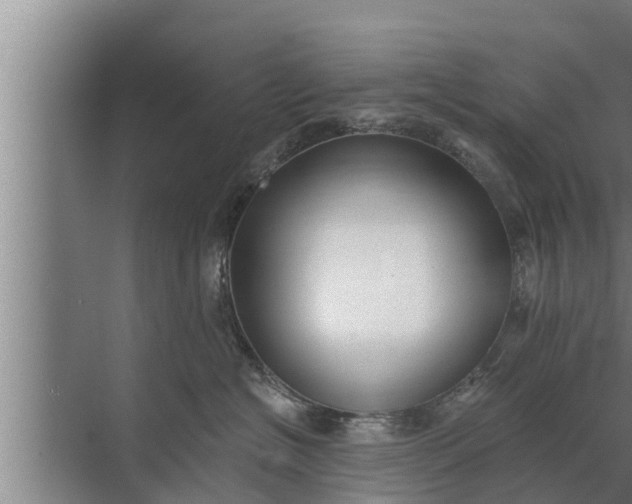 X0000072490574200607290043