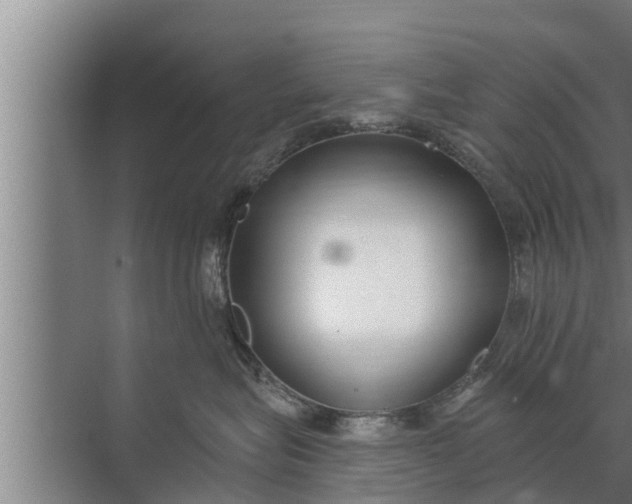 X0000072490575200607290043