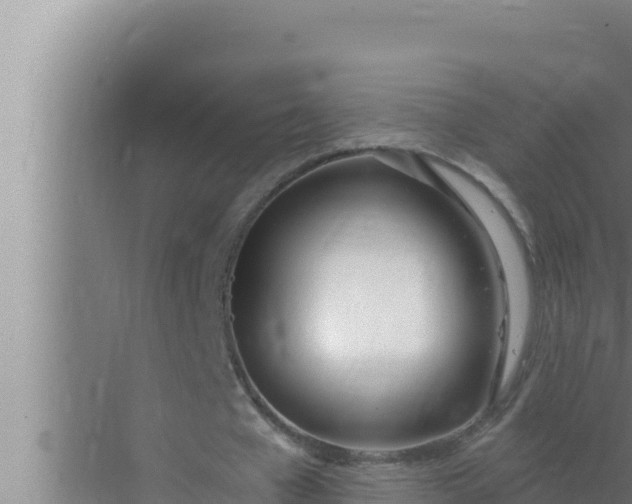 X0000072490577200607290042