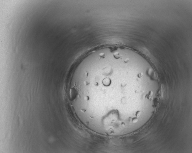 X0000072490579200607290042