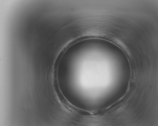 X0000072490580200607290042