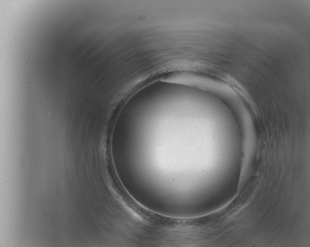 X0000072490581200607290042