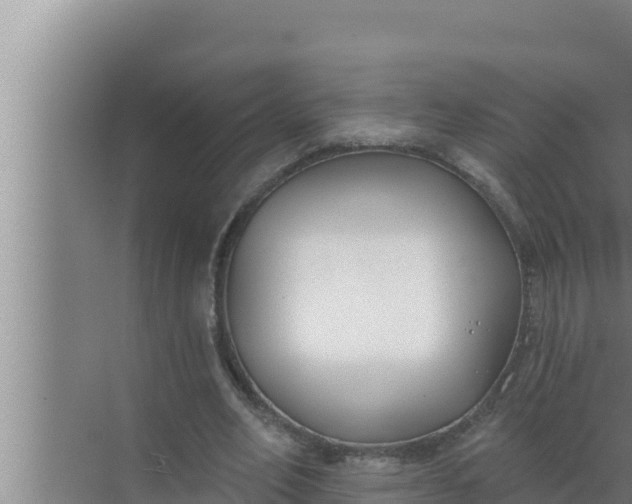 X0000072490582200607290042