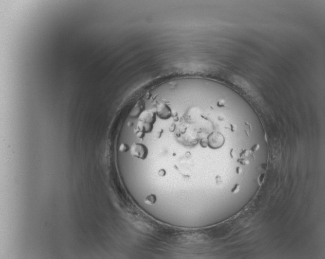 X0000072490583200607290042