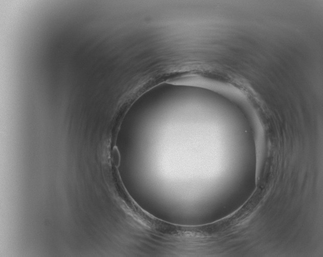 X0000072490585200607290042