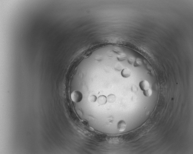 X0000072490587200607290042