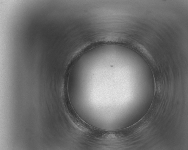 X0000072490588200607290042