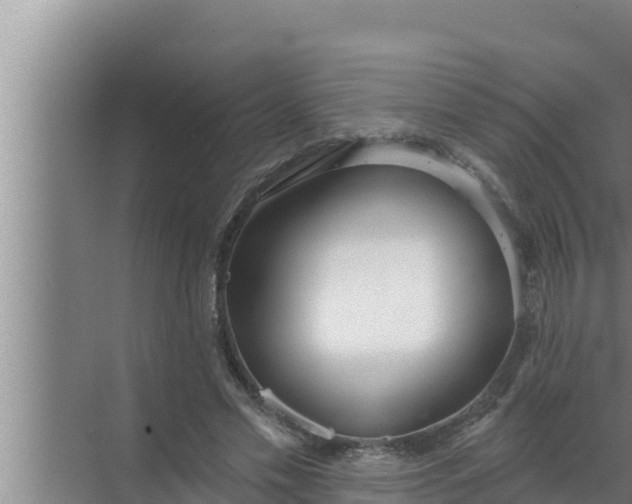 X0000072490589200607290042