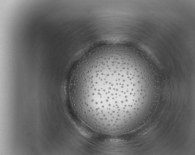 X0000072490590200607290042