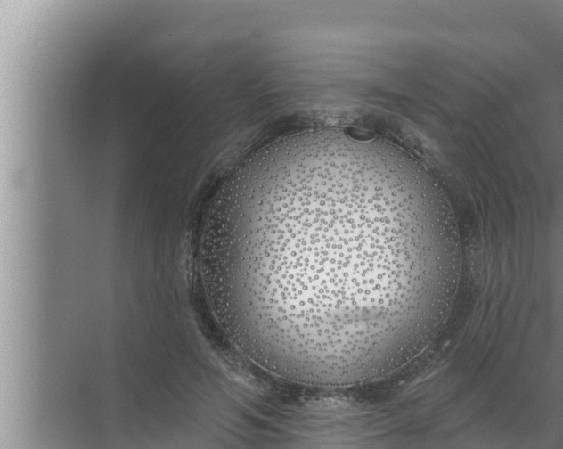 X0000072490594200607290042