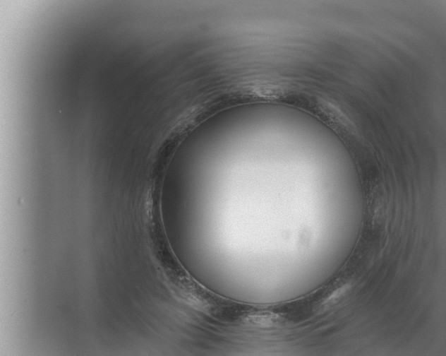 X0000072490595200607290042