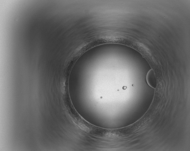 X0000072490596200607290042