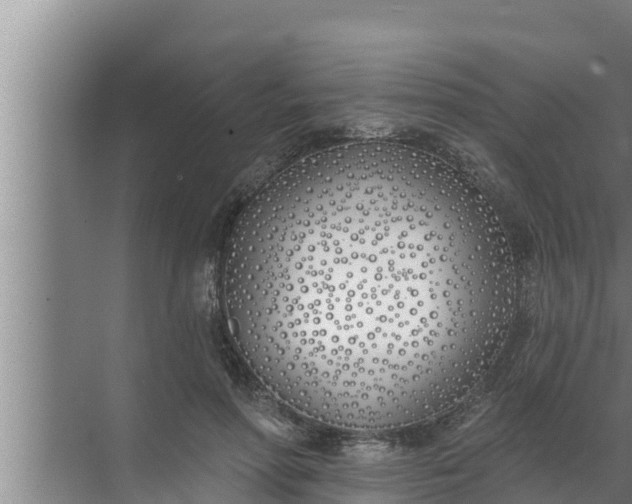 X0000072490598200607290042