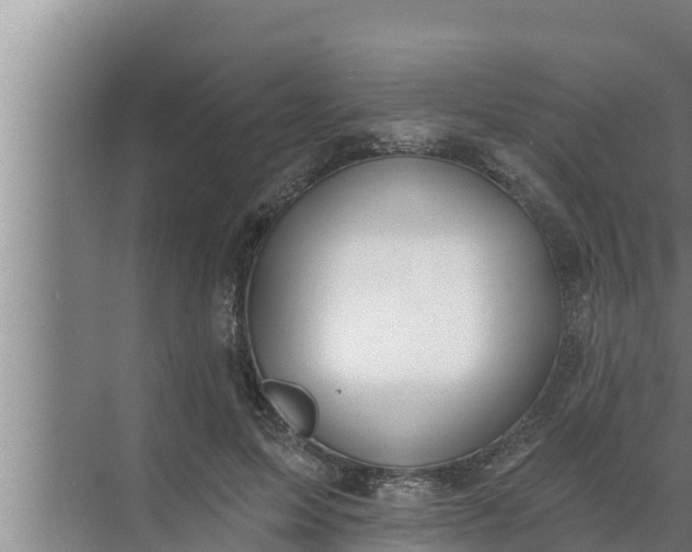 X0000072490599200607290042