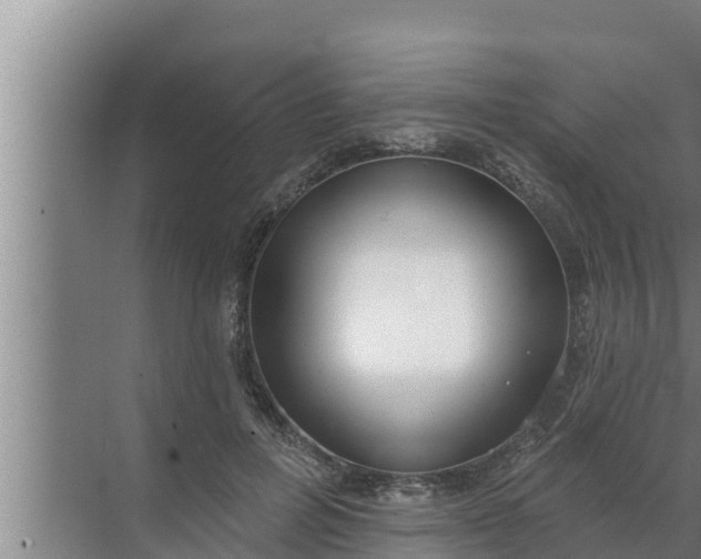 X0000072490600200607290042