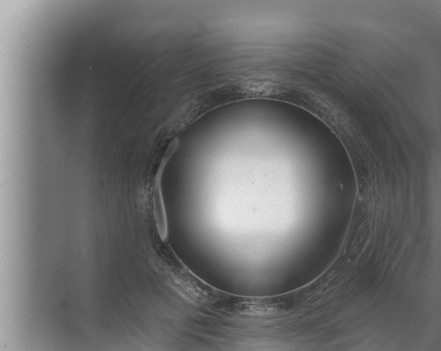 X0000072490601200607290042