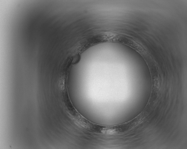 X0000072490602200607290042