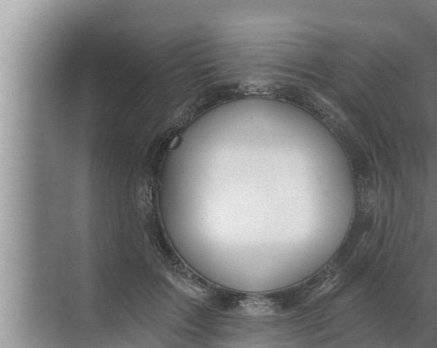 X0000072490603200607290041