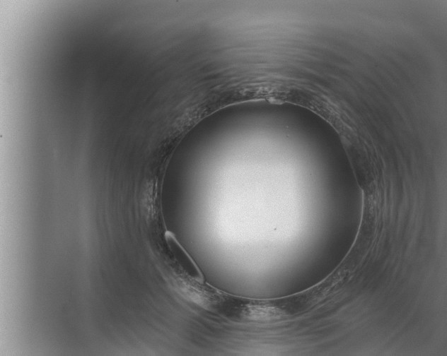 X0000072490605200607290041