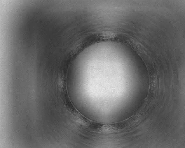 X0000072490608200607290041