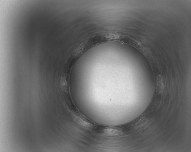 X0000072490614200607290041