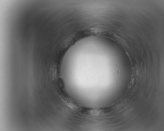 X0000072490615200607290041