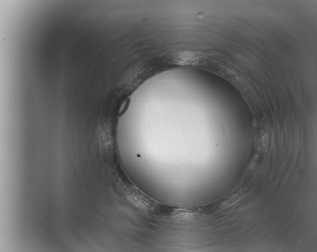 X0000072490620200607290041