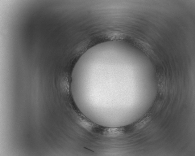 X0000072490622200607290041